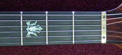 Fingerboard inlay