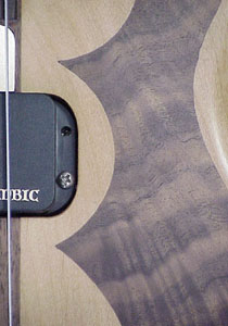 lower inlay