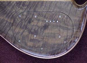 backplate