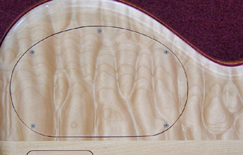 backplate