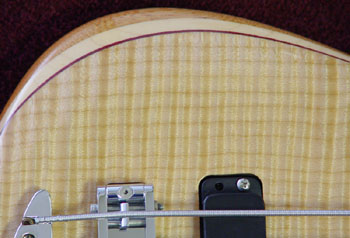  Flame Maple
