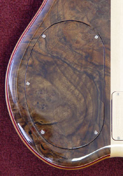 backplate