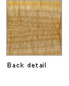 back detail