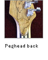 peghead back