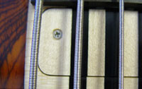 Truss Rod Cover