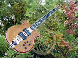 featured custom