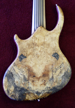 Back