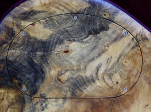 Backplate 1