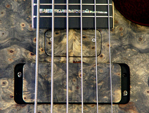 Truss rod cover