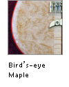 Bird's-eye Maple