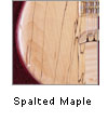 Spalted Maple