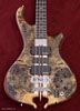 Dark Buckeye Burl