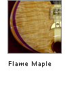 Flame Maple