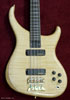 Flame Maple