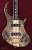 Dark Buckeye Burl