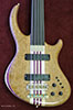 Burl Madrone