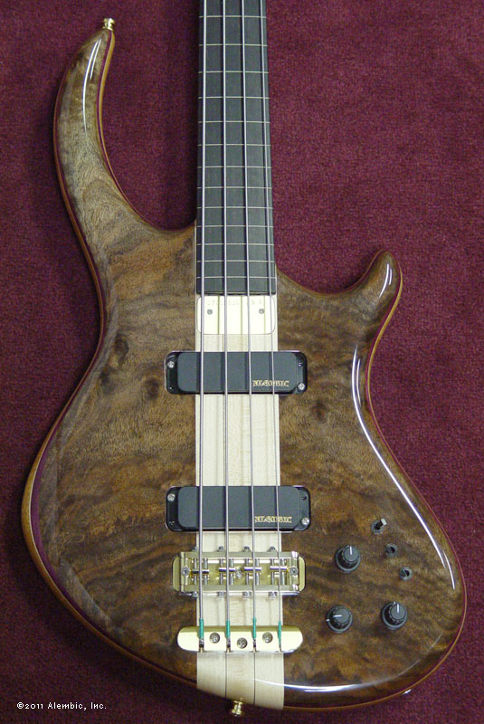 Alembic Instruments Alembic - Rogue Bass