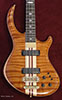 Curly Redwood