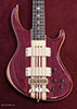 Purpleheart