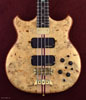 Light Buckeye