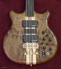 Cluster Burl Walnut
