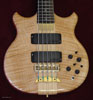 Flame Maple