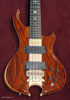 Coco Bolo