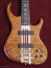 Burl Maple