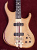 Flame Maple