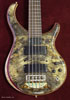 Light & Dark Buckeye Burl