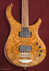 Burl Maple