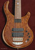 Burl Redwood