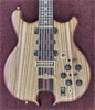 12-string Wonder