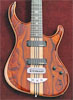 12-string Leo