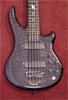Planet of the Bass