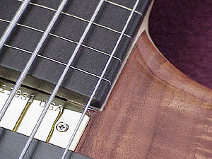 detail