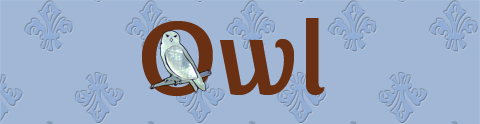 Owl