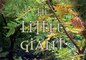 The Little Giant