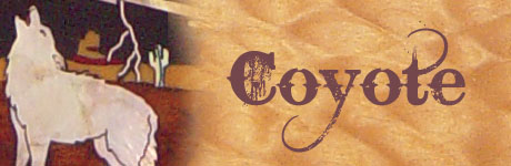 Coyote