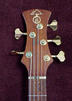 peghead front
