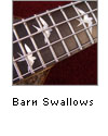 Barn Swallows