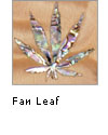 Fan Leaf
