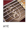 AYC
