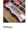 Althea