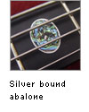 Silver bound abalone