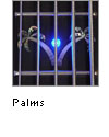 Palms