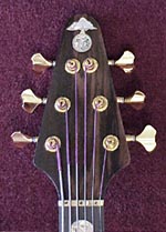 DP peghead front