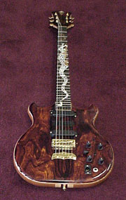 David's Guitar
