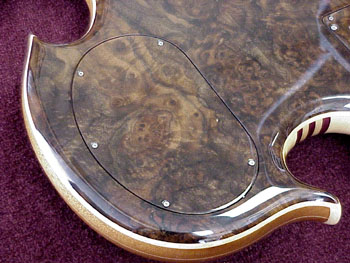 backplate