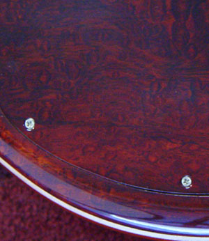 backplate